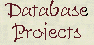 Database projects are the mechanisms though knowledge workers implement enterprise database.  Projects must be deliverables based and supported by metrics to be managed.