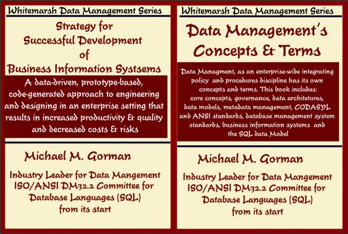 StrategyForSuccessfulDevelopmentOfInformationSystemsWithConceptsAndTerms